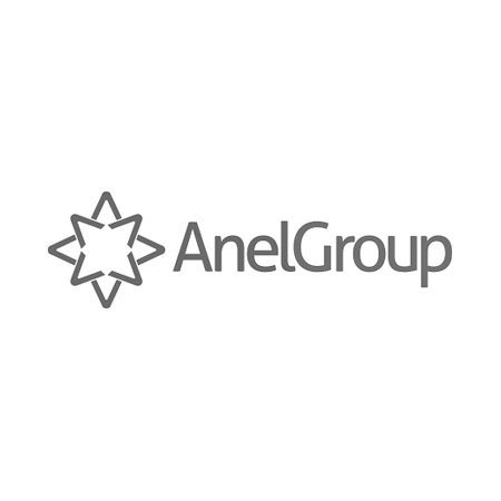Anel Group