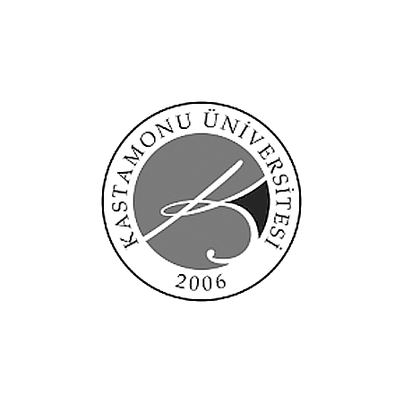 u-parametric-referans-kastamonu-universitesi